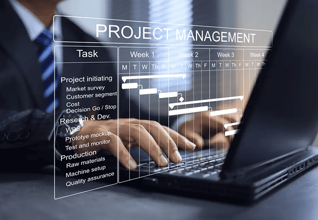 Project Management